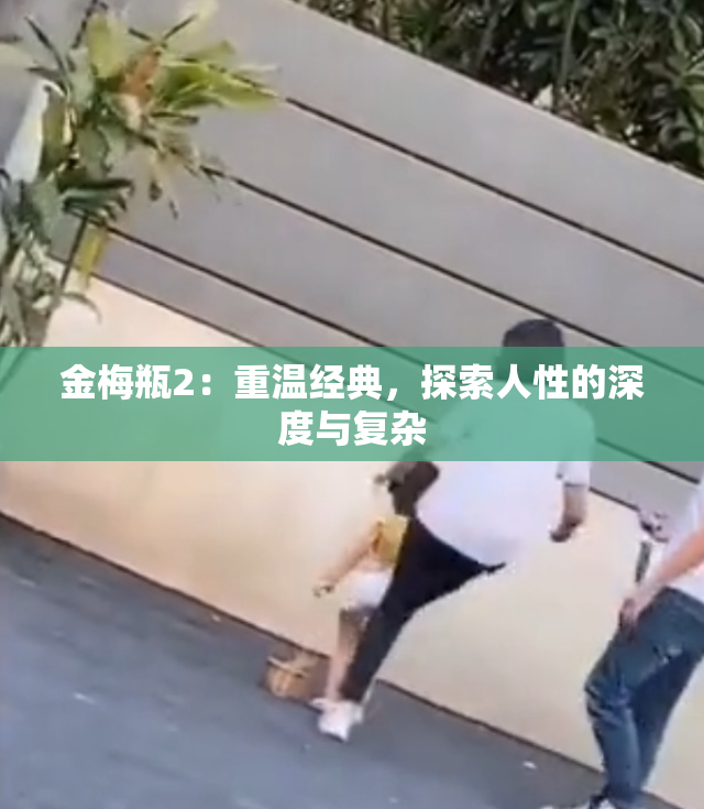 金梅瓶2：重温经典，探索人性的深度与复杂
