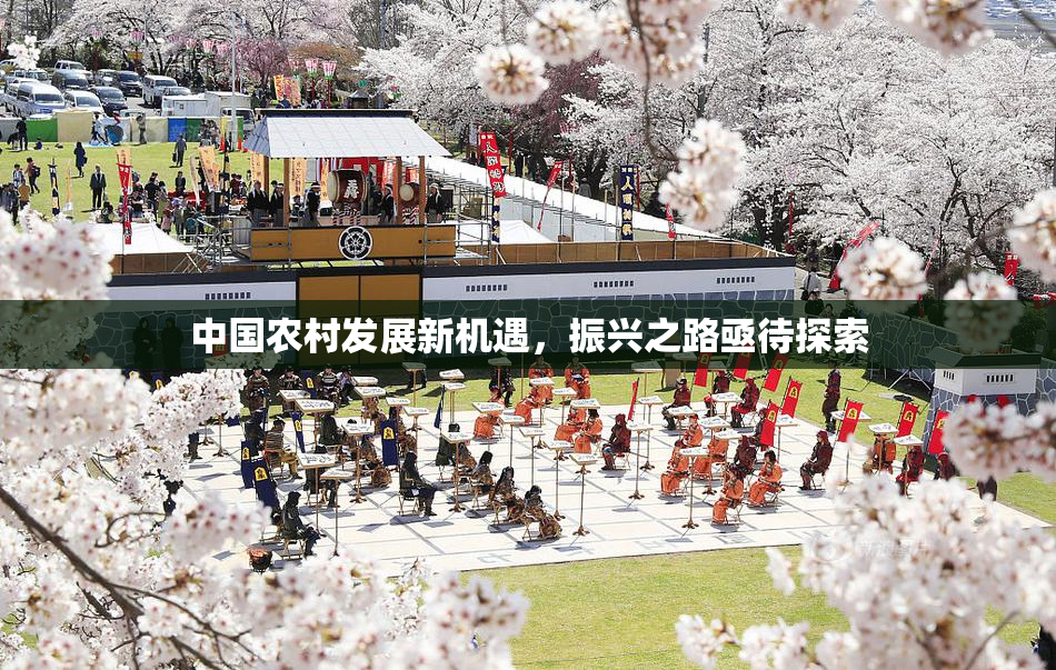 中国农村发展新机遇，振兴之路亟待探索