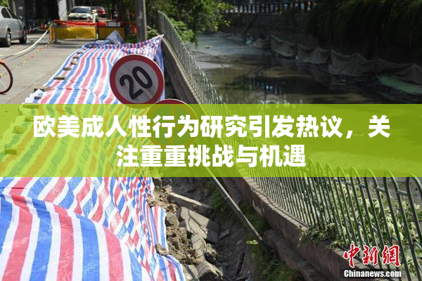欧美成人性行为研究引发热议，关注重重挑战与机遇