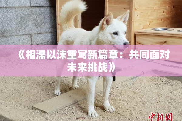 《相濡以沫重写新篇章：共同面对未来挑战》