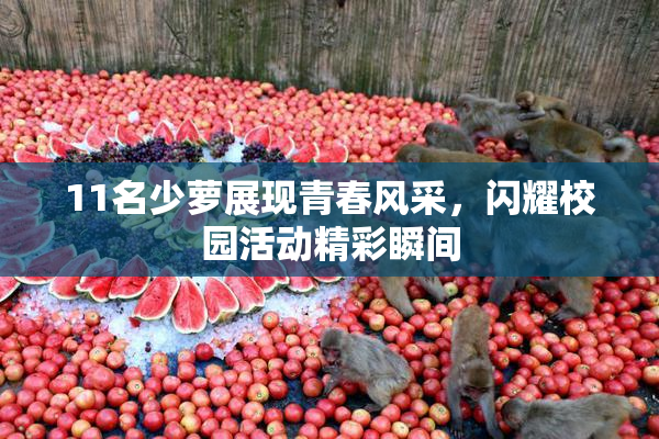 11名少萝展现青春风采，闪耀校园活动精彩瞬间