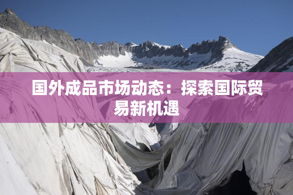 国外成品市场动态：探索国际贸易新机遇