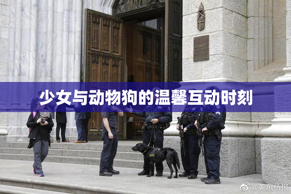 少女与动物狗的温馨互动时刻