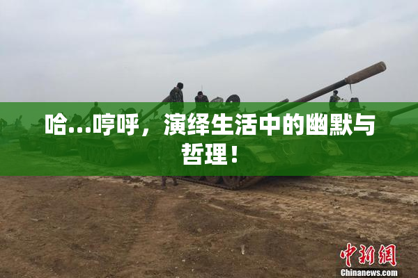 哈…哼呼，演绎生活中的幽默与哲理！