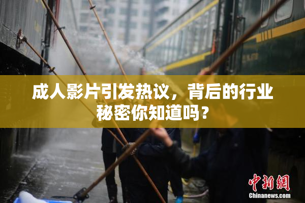 成人影片引发热议，背后的行业秘密你知道吗？