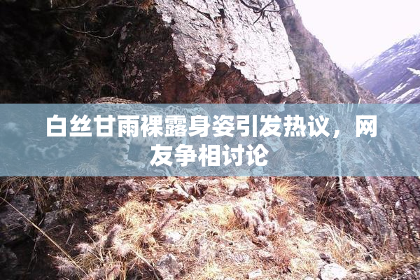 白丝甘雨裸露身姿引发热议，网友争相讨论