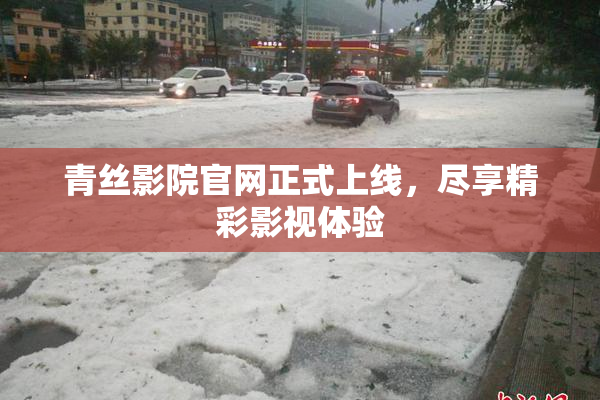 青丝影院官网正式上线，尽享精彩影视体验