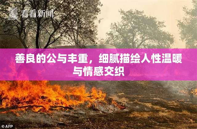 善良的公与丰重，细腻描绘人性温暖与情感交织