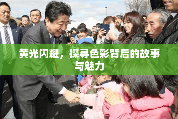 黄光闪耀，探寻色彩背后的故事与魅力