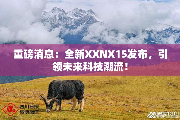 重磅消息：全新XXNX15发布，引领未来科技潮流！