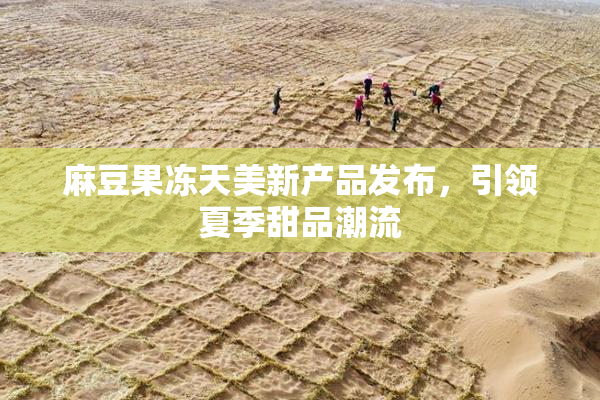 麻豆果冻天美新产品发布，引领夏季甜品潮流
