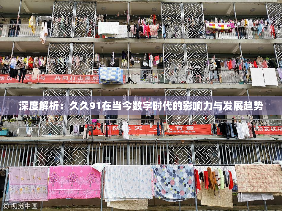 深度解析：久久91在当今数字时代的影响力与发展趋势