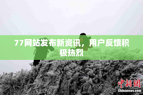 77网站发布新资讯，用户反馈积极热烈