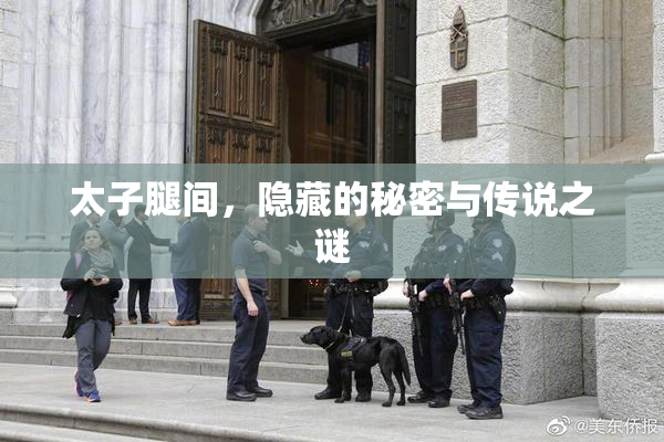 太子腿间，隐藏的秘密与传说之谜