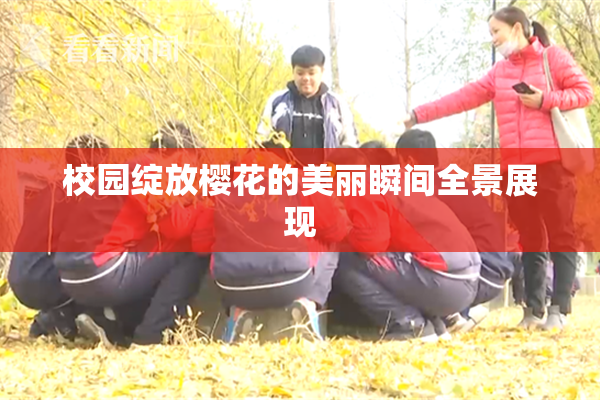 校园绽放樱花的美丽瞬间全景展现