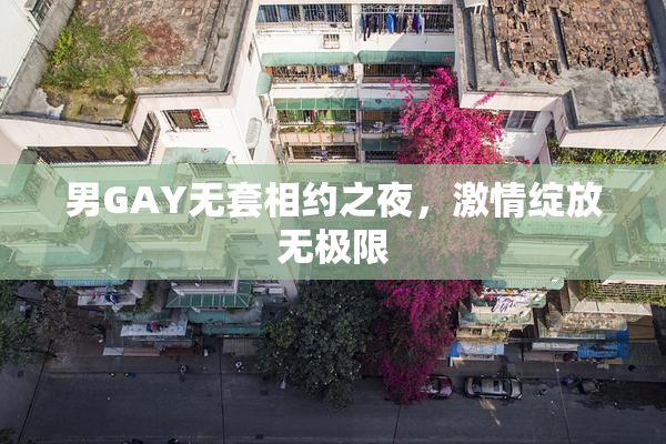 男GAY无套相约之夜，激情绽放无极限