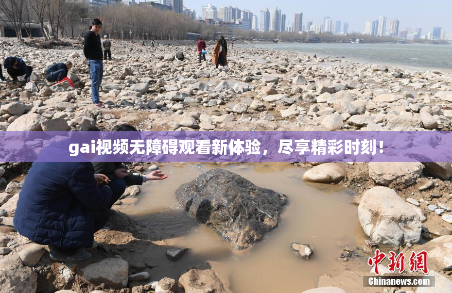 gai视频无障碍观看新体验，尽享精彩时刻！