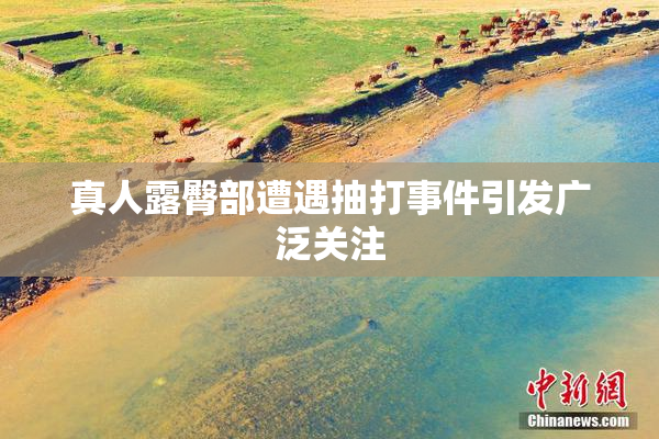 真人露臀部遭遇抽打事件引发广泛关注