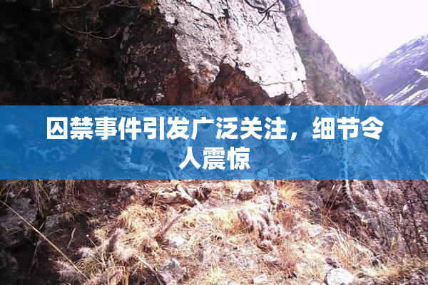 囚禁事件引发广泛关注，细节令人震惊