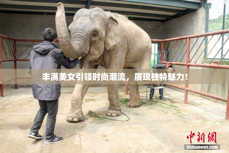 丰满美女引领时尚潮流，展现独特魅力！