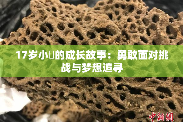 17岁小泬的成长故事：勇敢面对挑战与梦想追寻