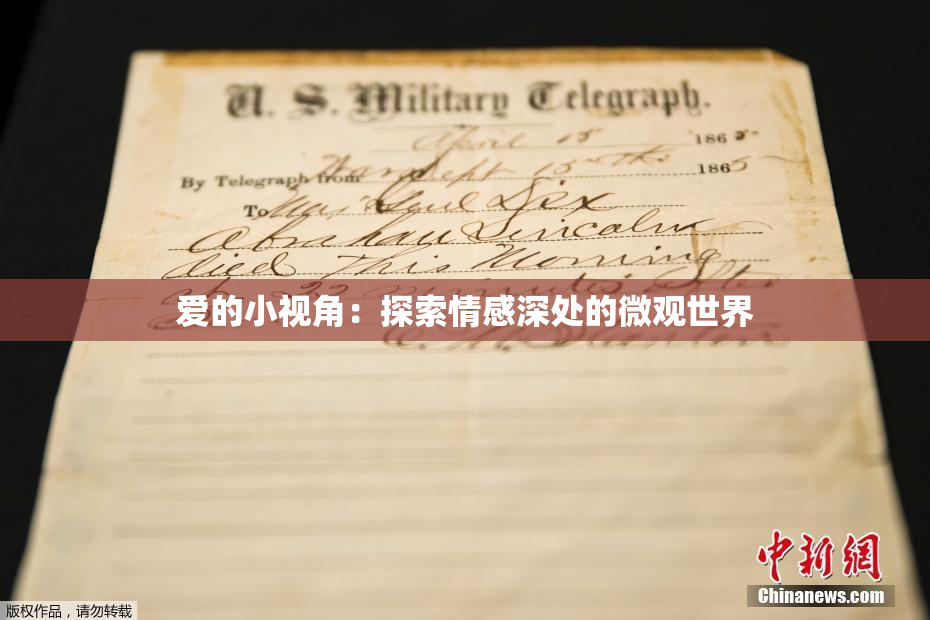 爱的小视角：探索情感深处的微观世界
