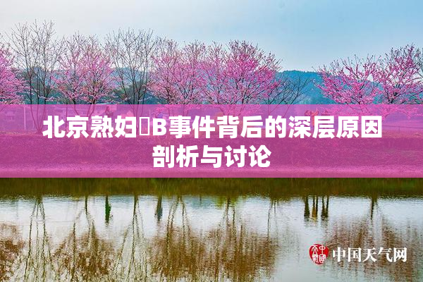 北京熟妇槡B事件背后的深层原因剖析与讨论