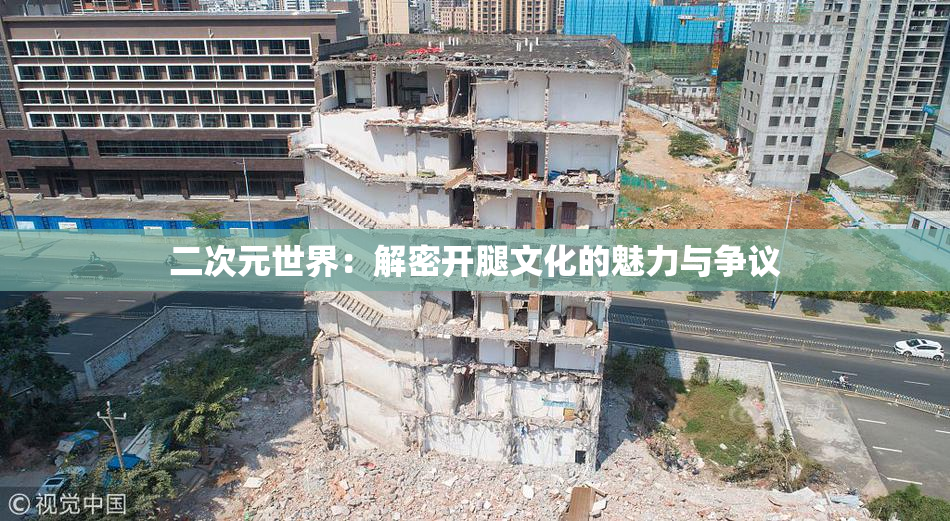二次元世界：解密开腿文化的魅力与争议