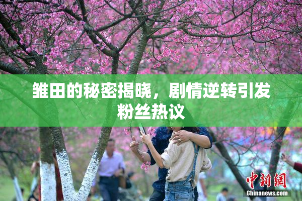 雏田的秘密揭晓，剧情逆转引发粉丝热议
