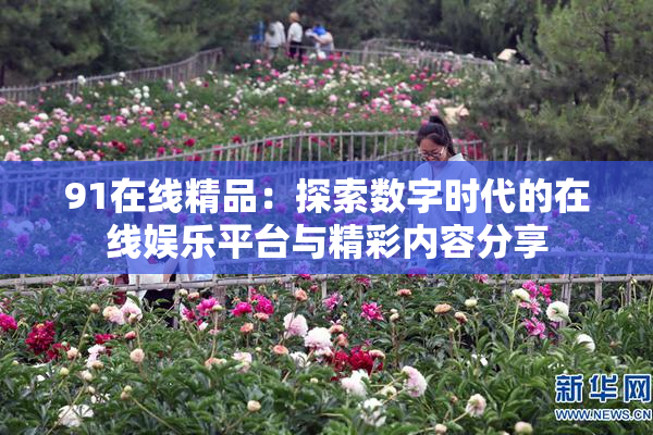 91在线精品：探索数字时代的在线娱乐平台与精彩内容分享