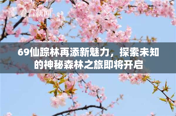 69仙踪林再添新魅力，探索未知的神秘森林之旅即将开启