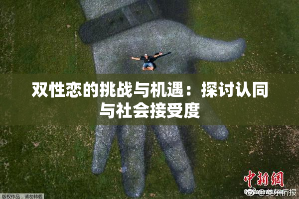 双性恋的挑战与机遇：探讨认同与社会接受度