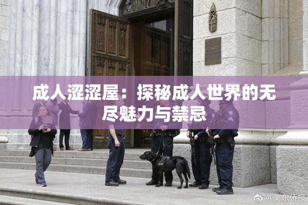 成人涩涩屋：探秘成人世界的无尽魅力与禁忌