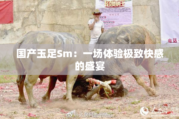 国产玉足Sm：一场体验极致快感的盛宴