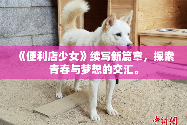 《便利店少女》续写新篇章，探索青春与梦想的交汇。