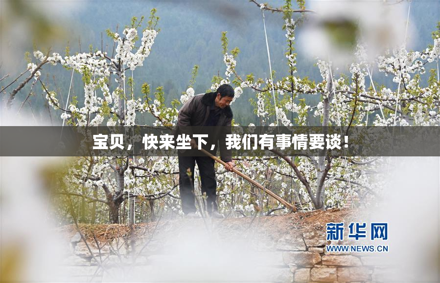 宝贝，快来坐下，我们有事情要谈！