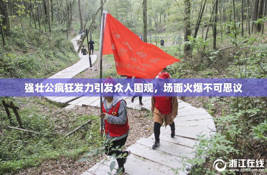强壮公疯狂发力引发众人围观，场面火爆不可思议