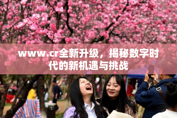 www.cr全新升级，揭秘数字时代的新机遇与挑战