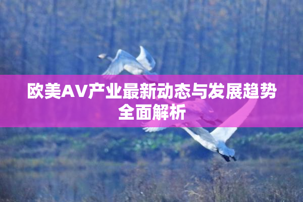 欧美AV产业最新动态与发展趋势全面解析