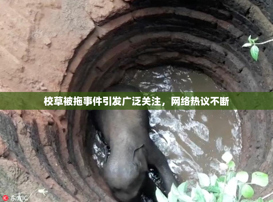 校草被拖事件引发广泛关注，网络热议不断