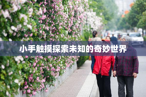 小手触摸探索未知的奇妙世界