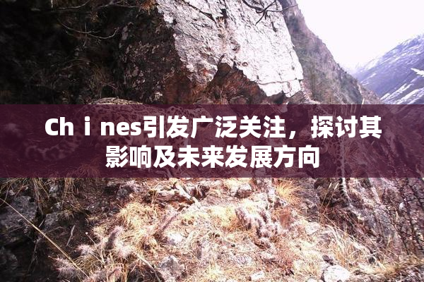 Chⅰnes引发广泛关注，探讨其影响及未来发展方向