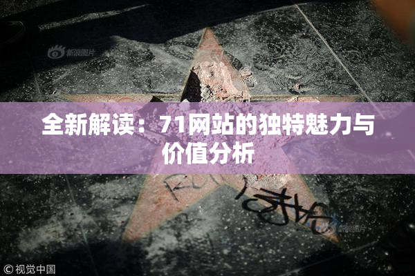 全新解读：71网站的独特魅力与价值分析