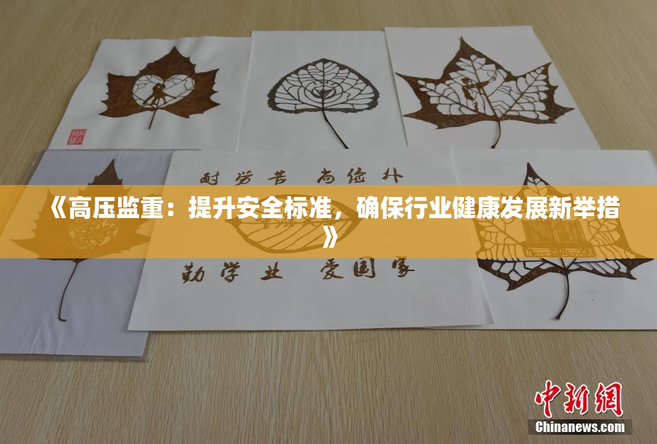 《高压监重：提升安全标准，确保行业健康发展新举措》
