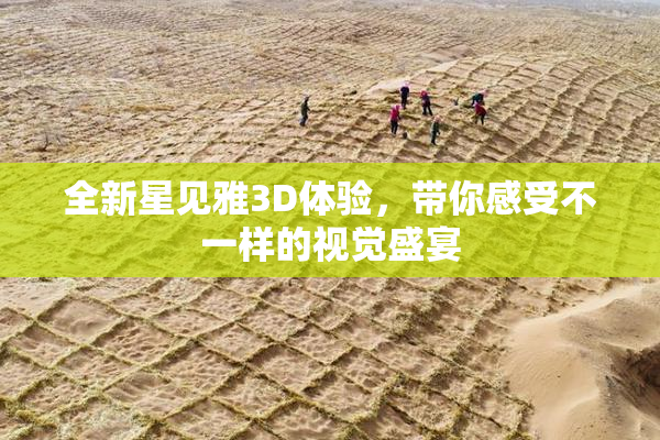 全新星见雅3D体验，带你感受不一样的视觉盛宴