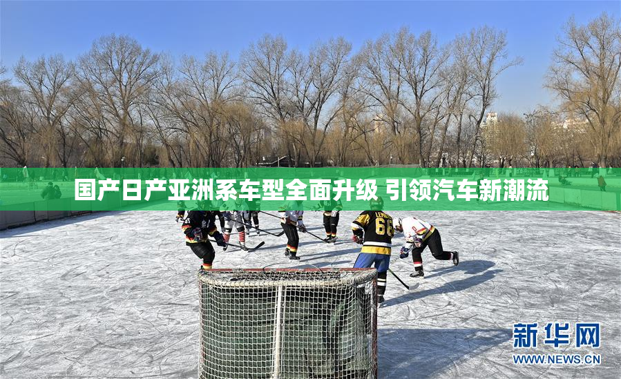 国产日产亚洲系车型全面升级 引领汽车新潮流