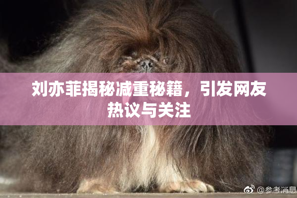 刘亦菲揭秘减重秘籍，引发网友热议与关注