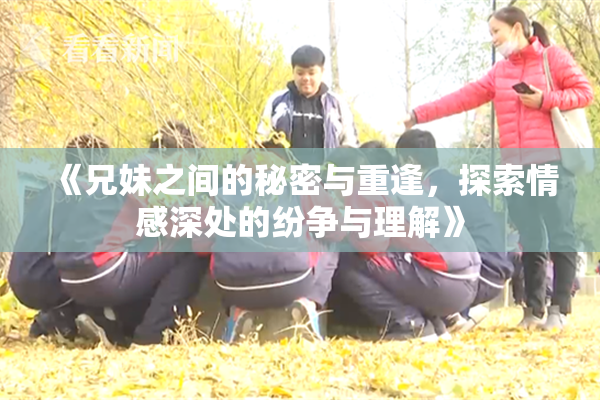 《兄妹之间的秘密与重逢，探索情感深处的纷争与理解》