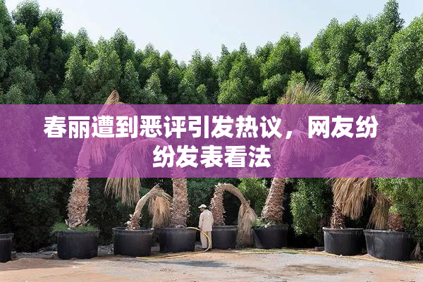 春丽遭到恶评引发热议，网友纷纷发表看法