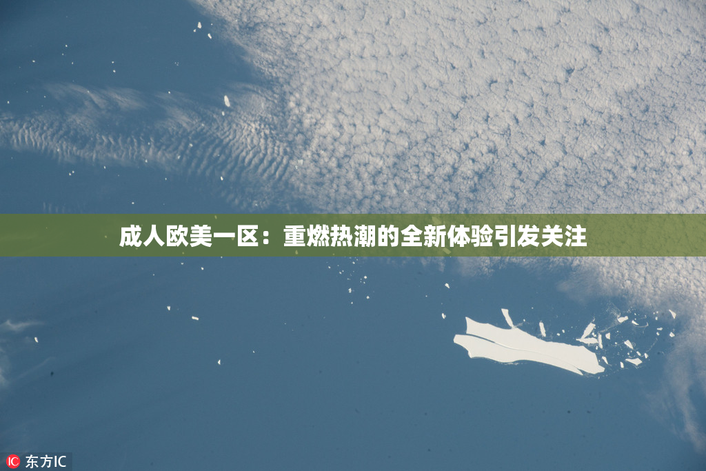 成人欧美一区：重燃热潮的全新体验引发关注